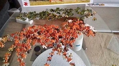 Toutes les photos drôles de puzzles qu'on a croisé sur internet